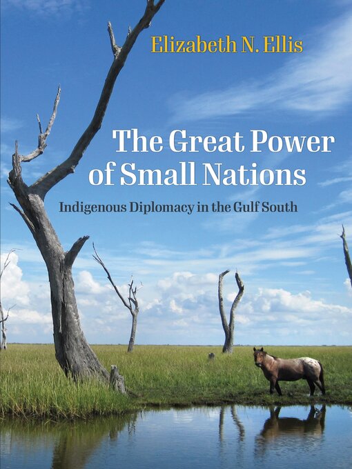 Title details for The Great Power of Small Nations by Elizabeth N. Ellis - Available
